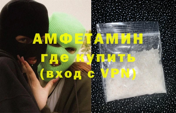 прущие грибы Бронницы